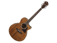 Ibanez AE245-NT Ibanez AE245-NT
